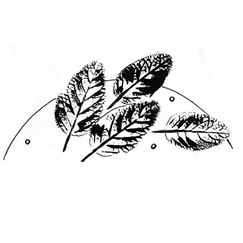 vendor image