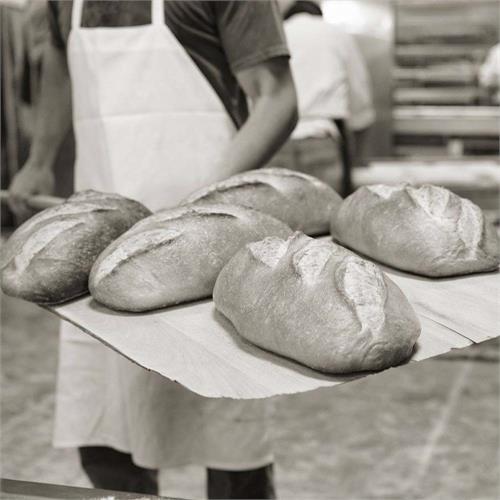 vendor image