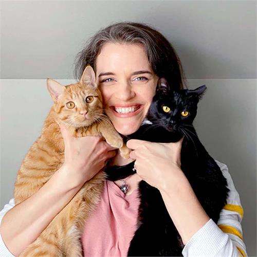 vendor image