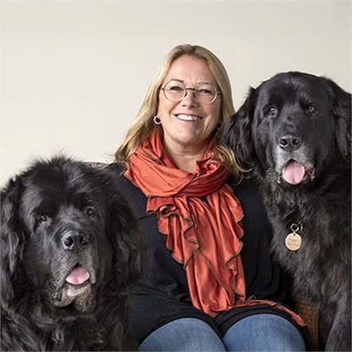vendor image