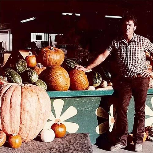 vendor image