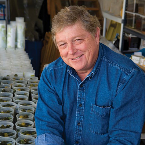 vendor image