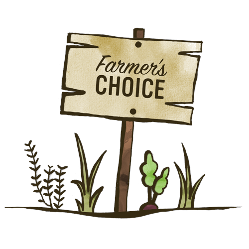 vendor image