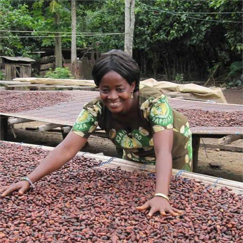 vendor image