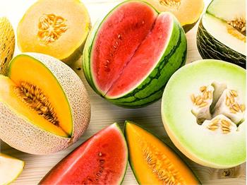 A Guide to Melon Varieties