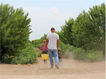 Valliwide Organic Farms