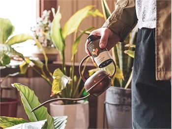 Nurturing Your Home Oasis