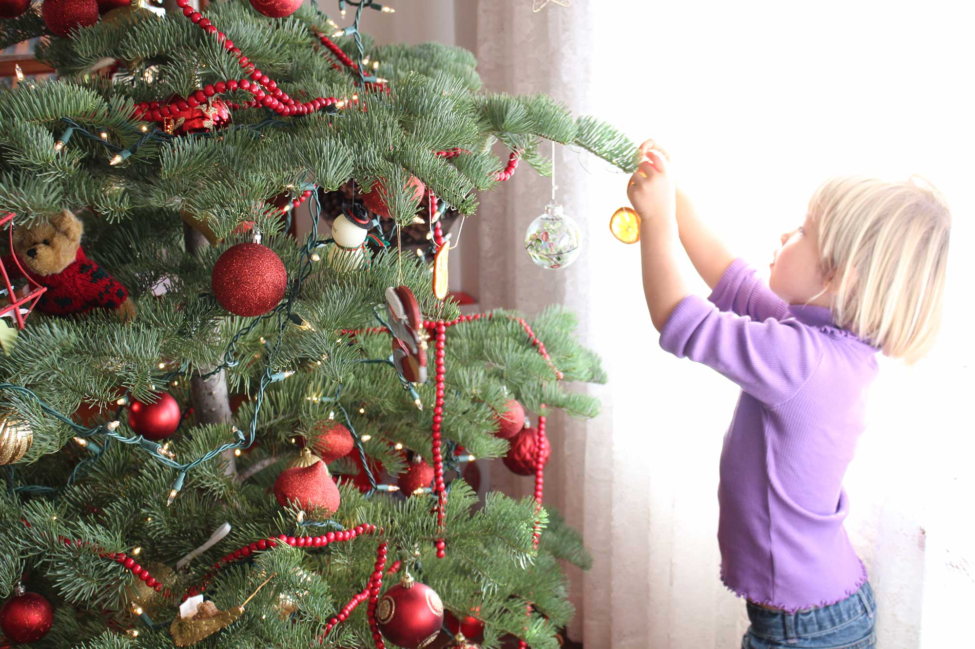 Dried Orange Ornaments